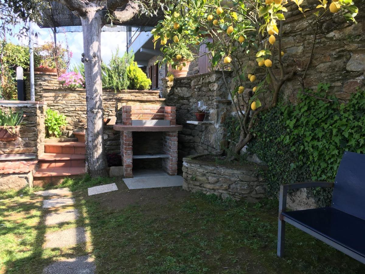 I gelsomini Villa Massa  Eksteriør billede